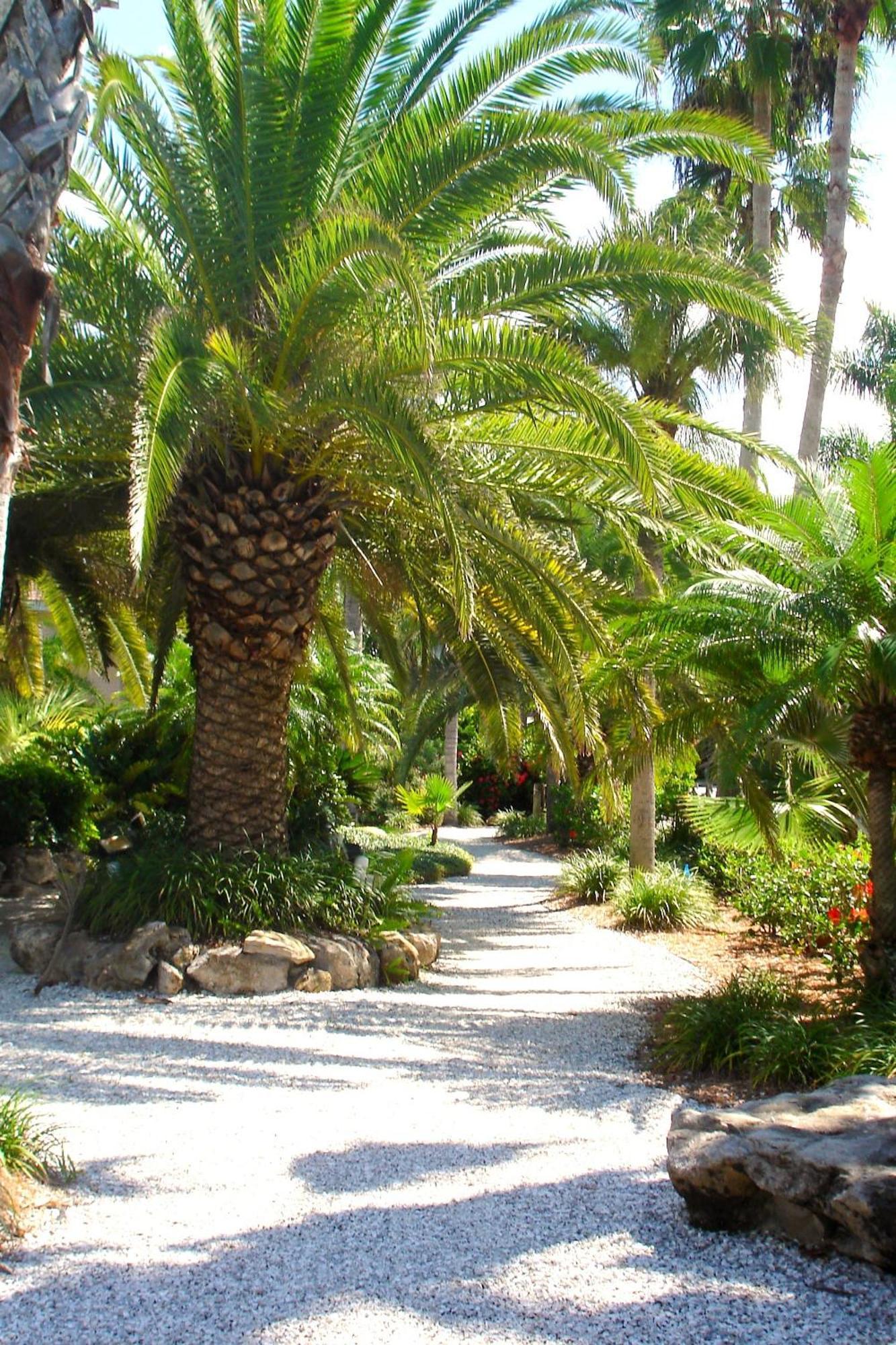 Tropical Beach Resorts - Sarasota سيستا كي المظهر الخارجي الصورة