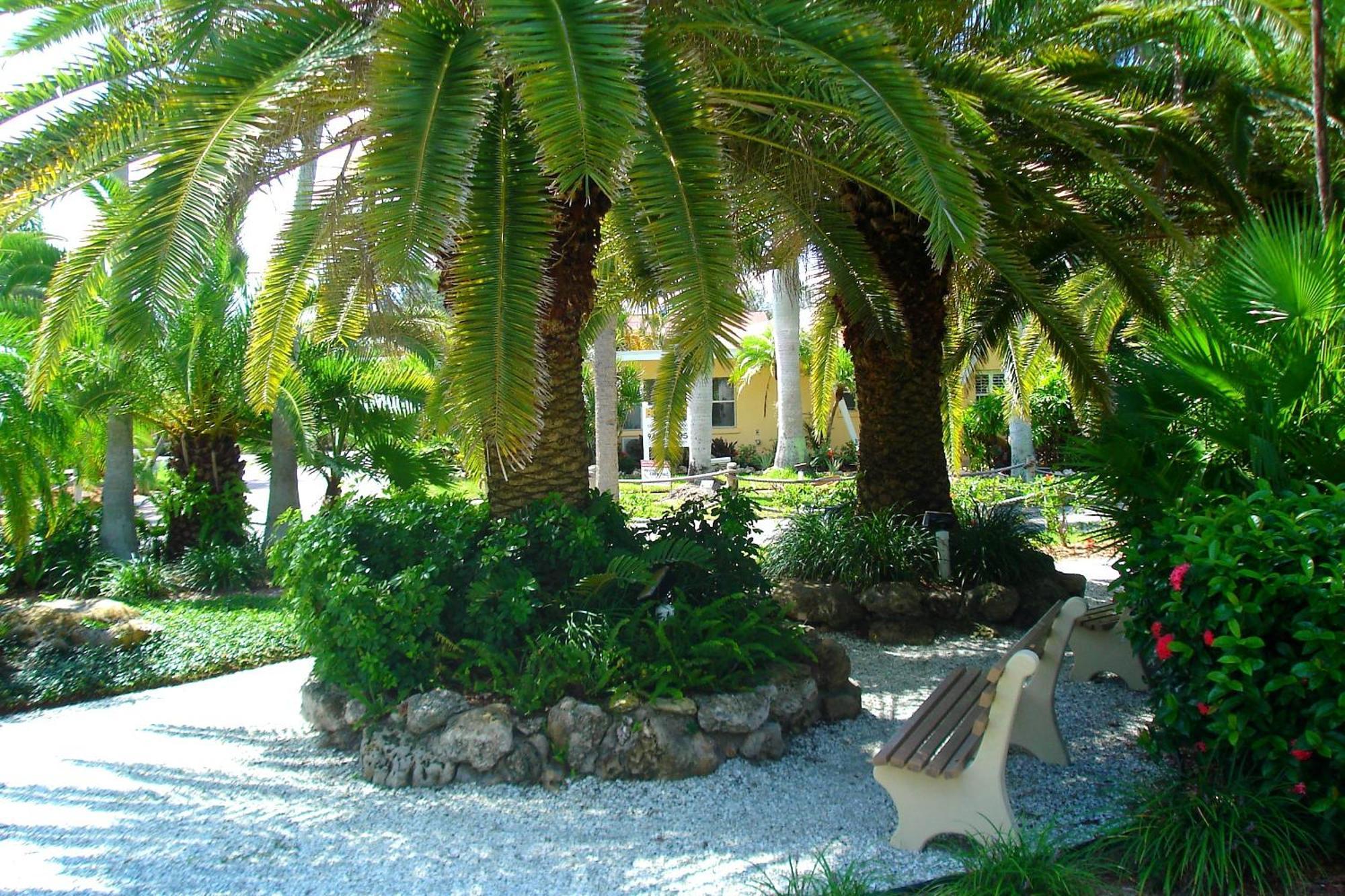 Tropical Beach Resorts - Sarasota سيستا كي المظهر الخارجي الصورة