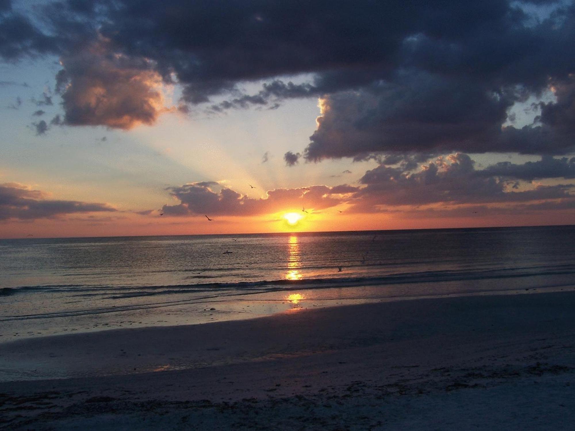 Tropical Beach Resorts - Sarasota سيستا كي المظهر الخارجي الصورة